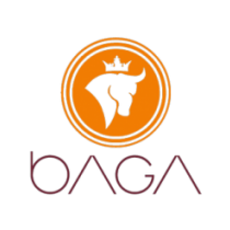 Baga Hotel